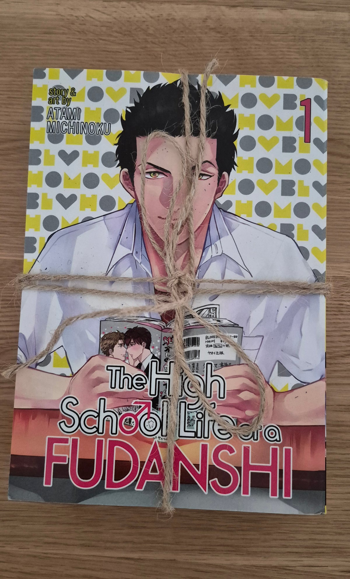 The High School Life of a Fudanshi Vol 1-3